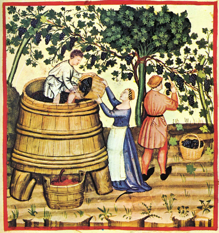 How Wine Saved The World | The Winc Blog